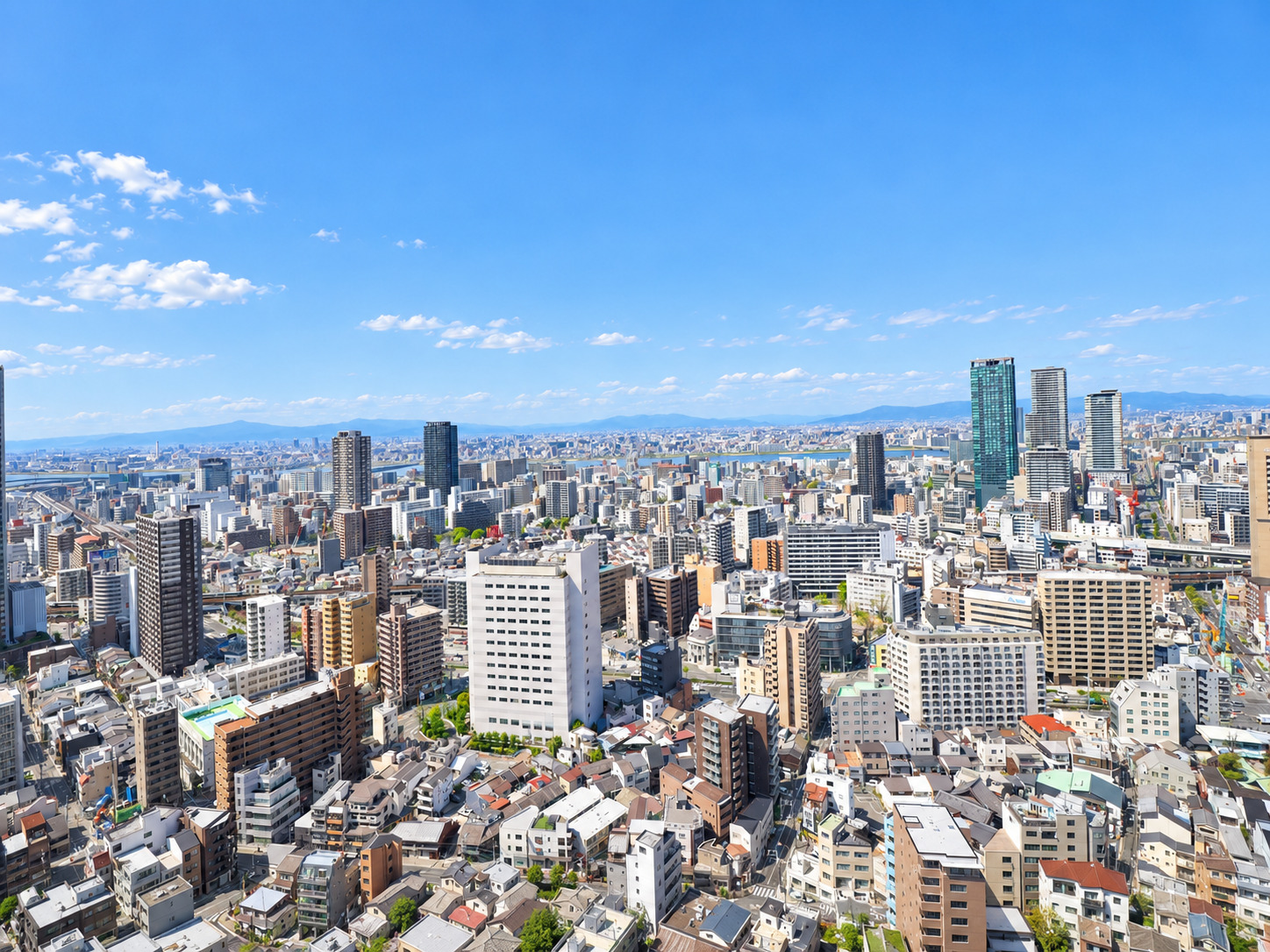 シエリアタワー中之島 写真5
