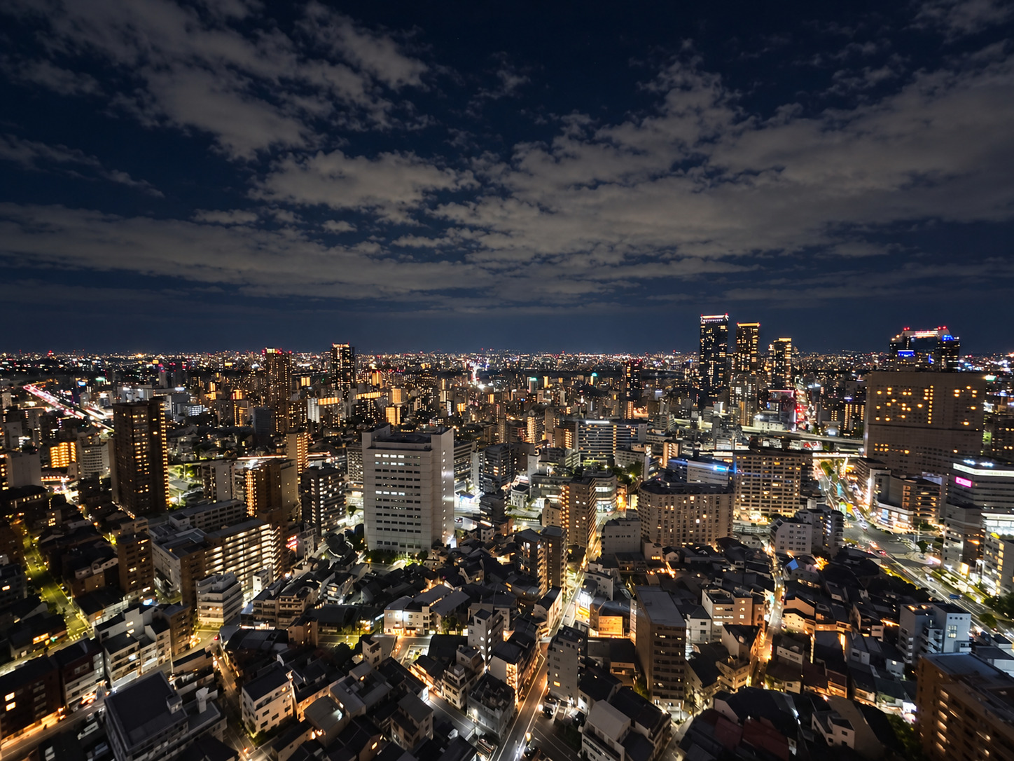 シエリアタワー中之島 写真9
